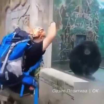 Chad monke mocks virgin human