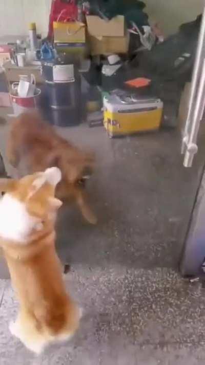 Internet VS. Real-Life