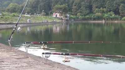 Automatic fishing rod holder