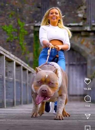 This is why attacks happen..small woman with that massive dog…