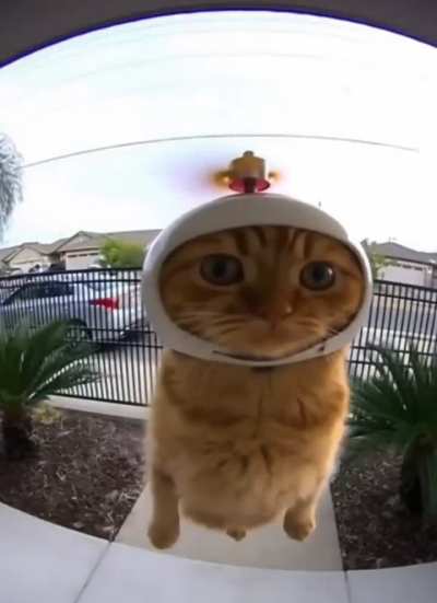 Helicopter Helicopter