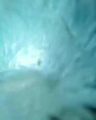 HMRB While I jump off a 27m bridge and narrowly avoid the rocks