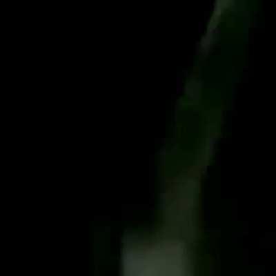 Chupa cu de goianinha avistado