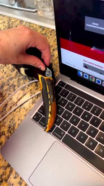 Something is wrong with my mouse..