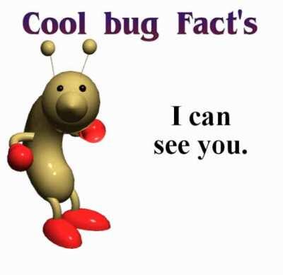 Blursed bug facts