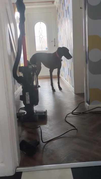 3 attempts to get passed the absolutely terrifying hoover 