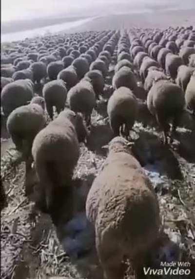 In Volgograd, a 96-year-old participant in the battle of Stalingrad was cured of coronavirus.