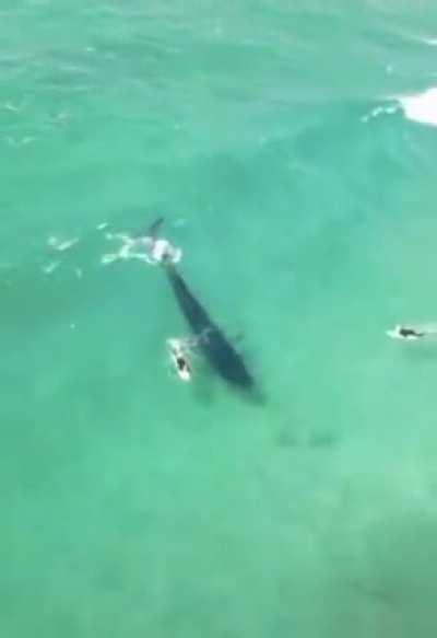 Все ещё хотите поплавать в море...