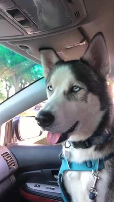 HENLO FREN WE ARE THE SAME