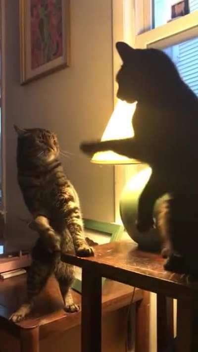 This happens every night before dinner