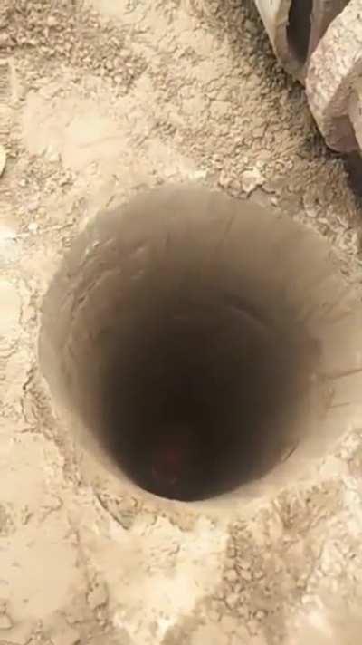 My mole people need me