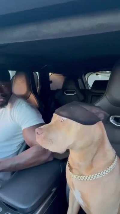 know what i'm saying