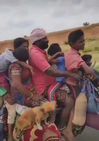 This father in India is moving his Family . How did he ever get the bike loaded is a mystery!