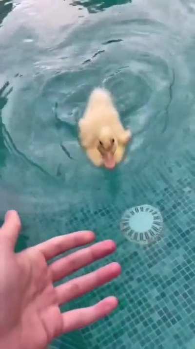 What else would you like to see?😁