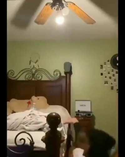 Trying to kick a roll of toilet paper