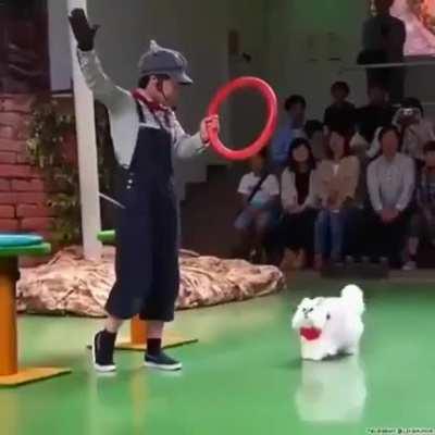 Gotta get that angle right