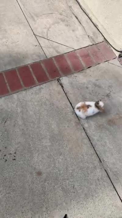 zuko's first time outside