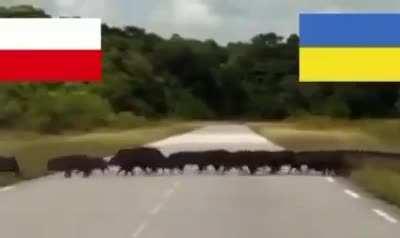 Calmest day at the Polish-Ukrainian border.