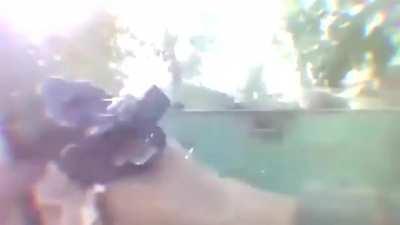 The Good Ol Lion of Damascus