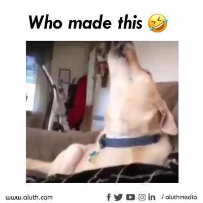 The song of my people