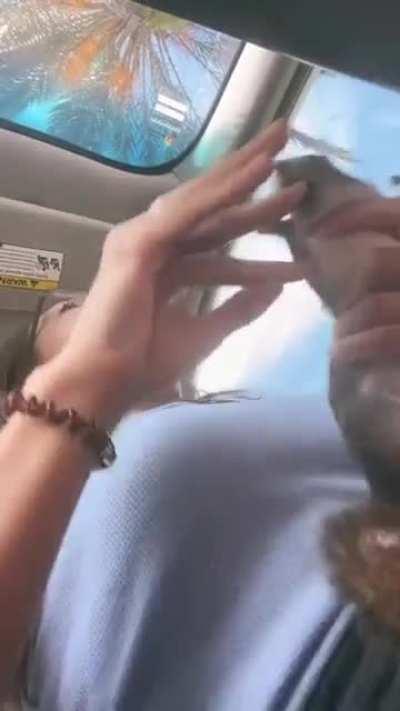 WCGW “rescuing” a wild squirrel