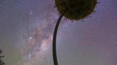 Covid in New Zealand has evolved....