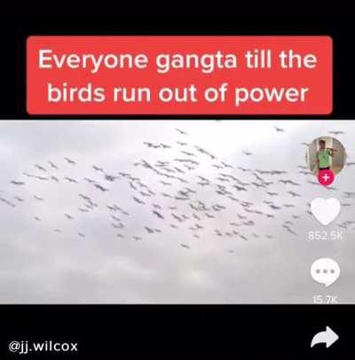 The gvernment getting lazy now