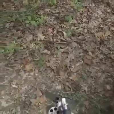 Me on the last day of the Halloween event killing my final pumpkin