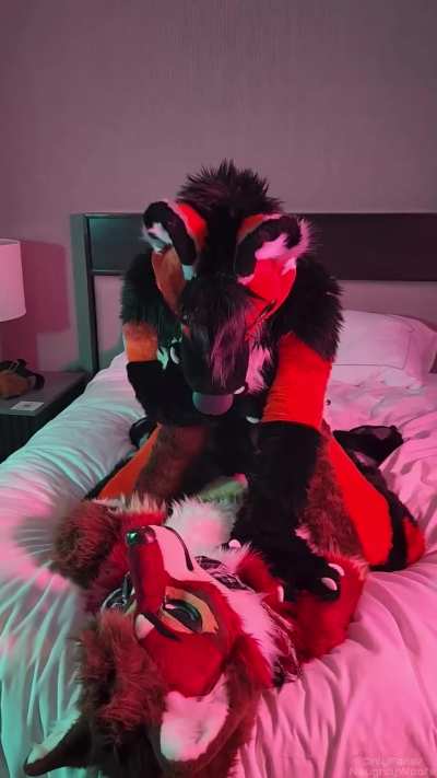 Watch me ride a hot fox 🔥🥵 | OF: NaughtyWoofs