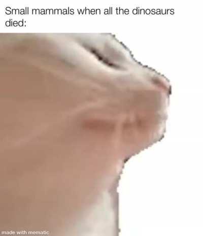 And, the dinos are gone