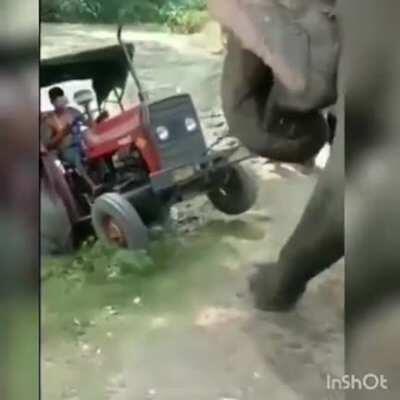 True friends are useful when needed.