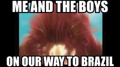 I'm finally gonna meet Borsonaro 😎😎