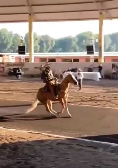 This guy obviously did not come with anti-locking breaks.