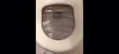 Testing the prank set up