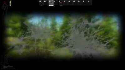 Immersive experience