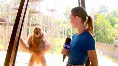 If that glass breaks humanity is doomed