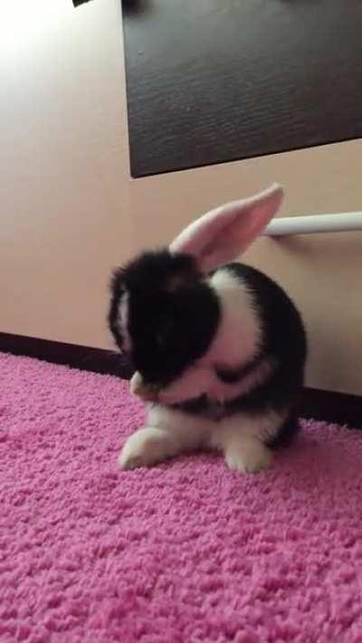 Wash the left ear, wash the right ear