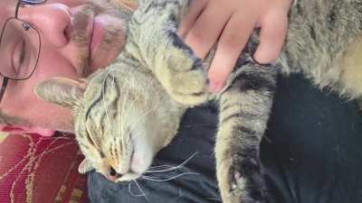 Yesterday was the second day I slept more than 12 hours this week.