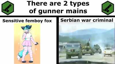 2 types of gunners