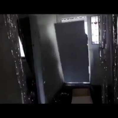 She's 18, in dog years