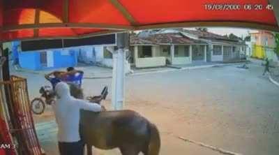 Dois caras num cavalo