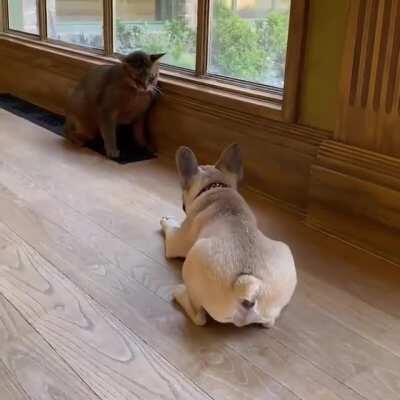 Hippity, Hoppity, Woof, Woof, Woof!!! [OC]