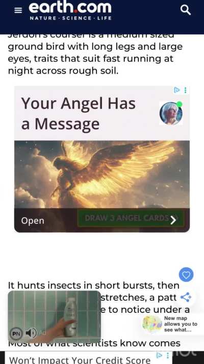 YOUR ANGEL HAS A MESSAGE