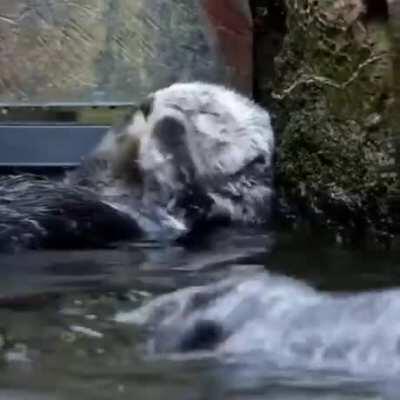 Just cleaning myself