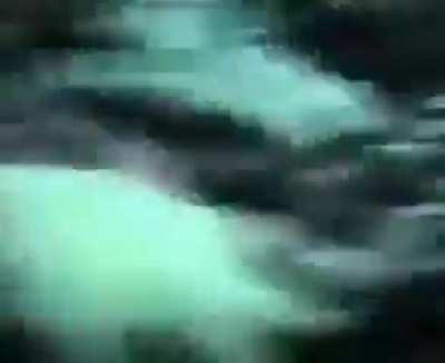 The Jonathan Reed Alien Encounter (1996)