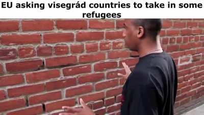 visegrad slander