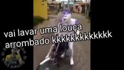 O cara posta video emocional de ff nos status 😭😭🤧