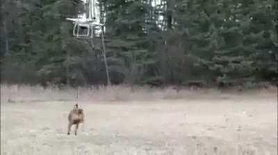 no bobby NOOOOOOOOOOOOOOOOOO!!!!!!!!!