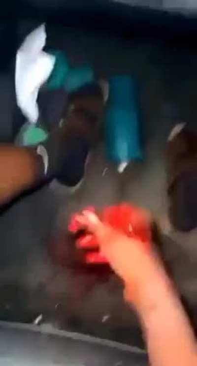 it's firework season