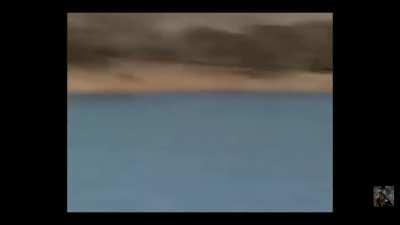 Another day in African wild